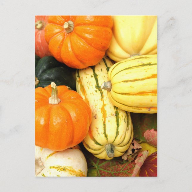 Postal Verduras de otoño (Anverso)