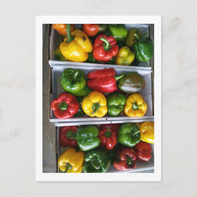 Postal Verduras en el mercado Amish (Anverso)