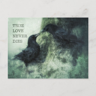 Postal Verliebte Krähen True Love Never Dies Liebe Raben