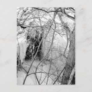 Postal Vermilion Falls Postcard