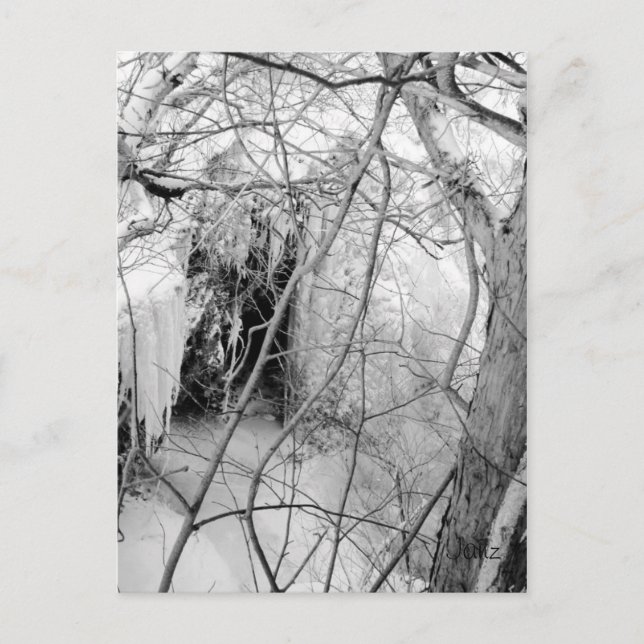 Postal Vermilion Falls Postcard (Anverso)