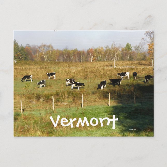 Postal Vermont (Anverso)