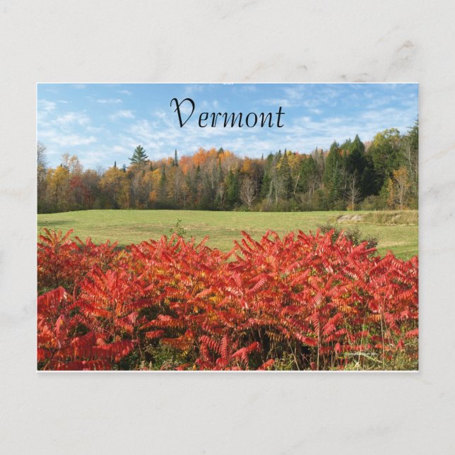 Postal Vermont en color (Anverso)
