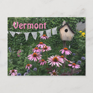 Postal Vermont Postcard