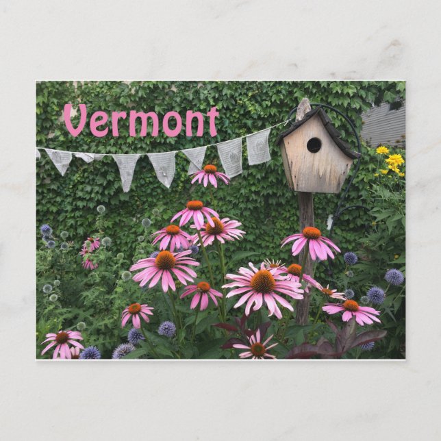 Postal Vermont Postcard (Anverso)