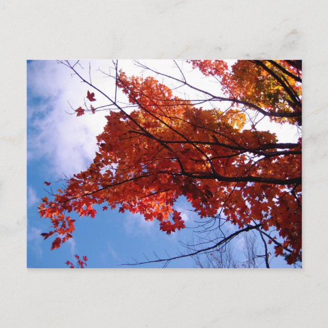 Postal Vermont Postcard 1 (Anverso)