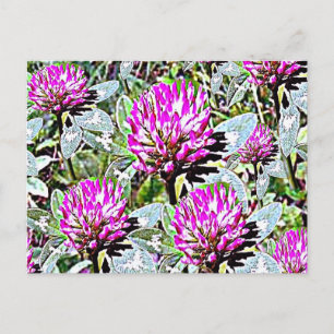 Postal Vermont Red Clover