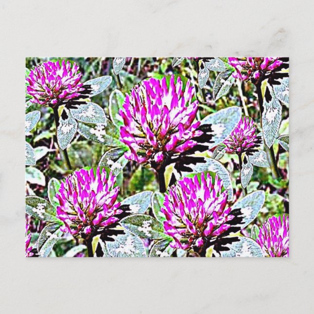 Postal Vermont Red Clover (Anverso)