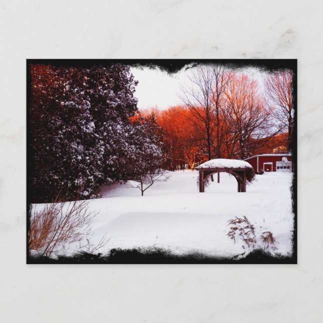 Postal Vermont Snow Day 2011 (Anverso)