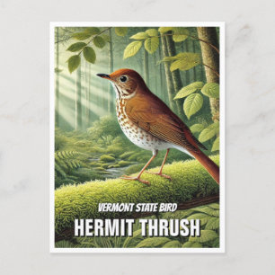 Postal Vermont State Bird Hermit Thrush