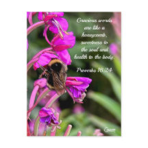 Verso de la Biblia Bumble Bee - Postcard