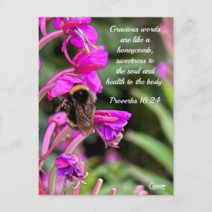 Postal Verso de la Biblia Bumble Bee - Postcard