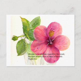 Postal Verso de la Biblia con una flor "Hibiscus"