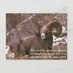 Postal Verso de Ram Bible