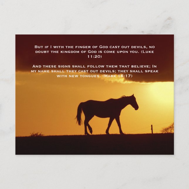 Postal Versos de la Biblia, un caballo al atardecer (Anverso)