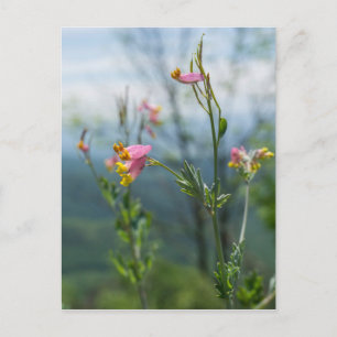 Postal vertical de Flor salvaje de altura Corydali