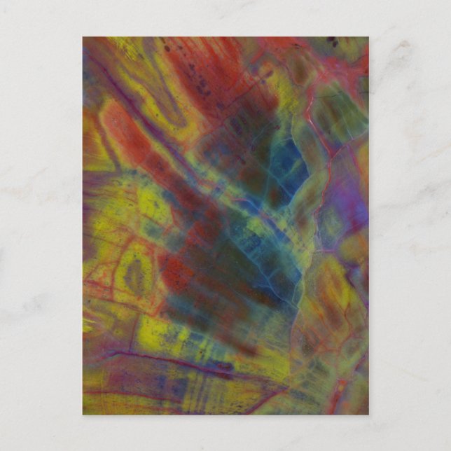 Postal Vertical de madera Petrificada (Anverso)