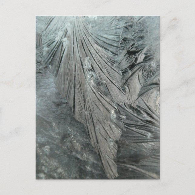 Postal vertical DIY de flores de hielo (Anverso)