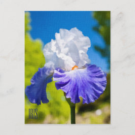 Postal vertical Iris