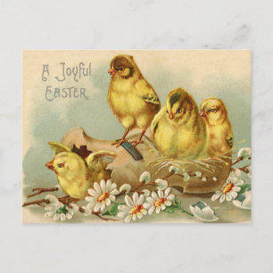 Postal Vertiginosas chichas de Pascua en un zapato