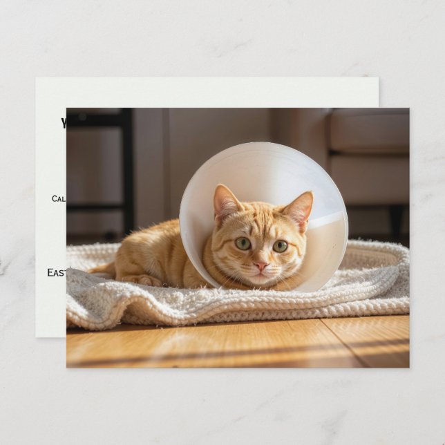 Postal Veterinarian Ginger Cat Wearing a Cone of Shame (Anverso / Reverso)