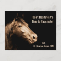 Veterinarian Vaccination Reminder for Horses