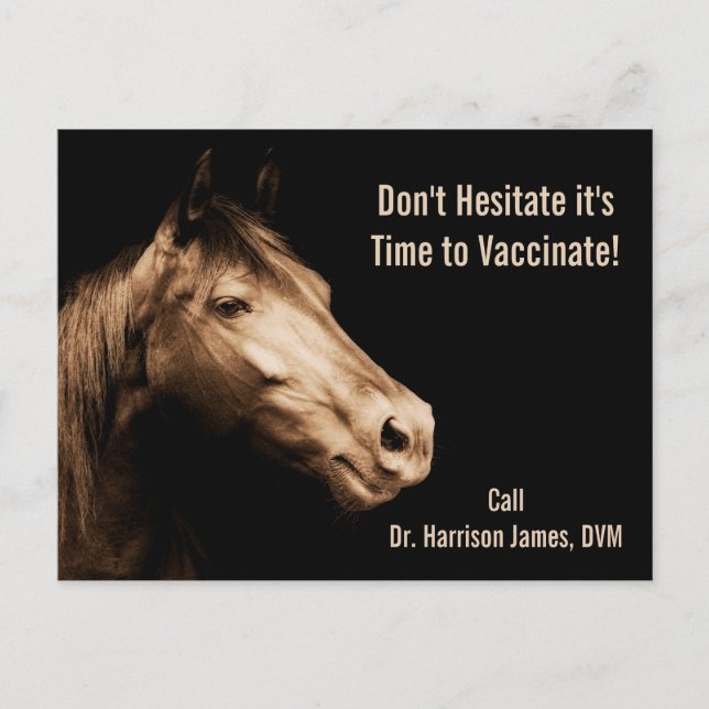 Postal Veterinarian Vaccination Reminder for Horses (Anverso)