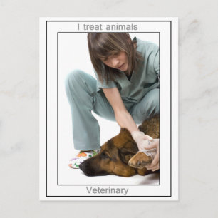 Postal Veterinario