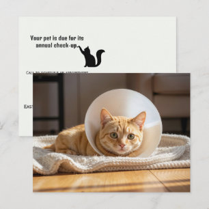 Postal Veterinario gato naranja que lleva un cono de la v
