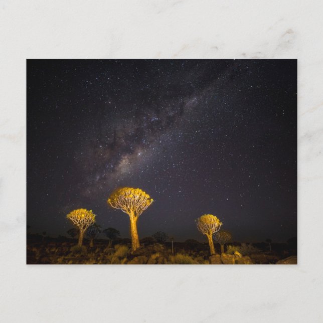 Postal Vía Láctea Quiver Tree | Keetmanshoop Namibia (Anverso)