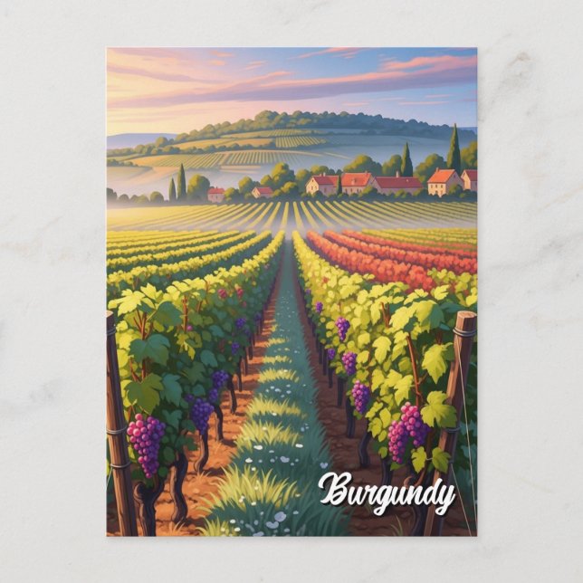 Postal Viaje a Borgoña Francia (Anverso)