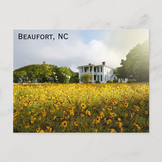 Postal Viaje a casa histórico de Beaufort North Carolina (Anverso)