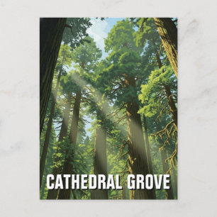 Postal Viaje a Cathedral Grove MacMillan Provincial Park