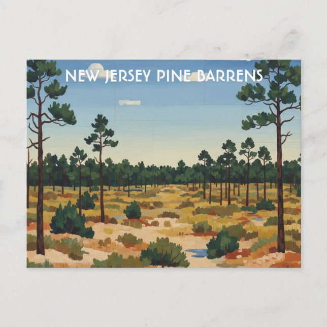 Postal Viaje a Pine Barrens Nueva Jersey (Anverso)