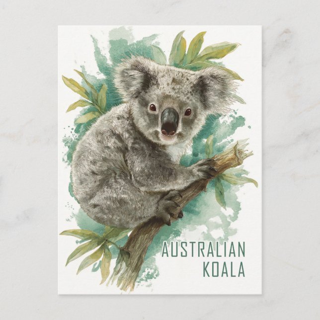 Postal Viaje australiano de Koala (Anverso)