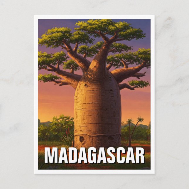 Postal Viaje de árbol baobab de Madagascar (Anverso)