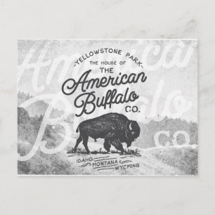 Postal Viaje de Búfalo Americano Vintage