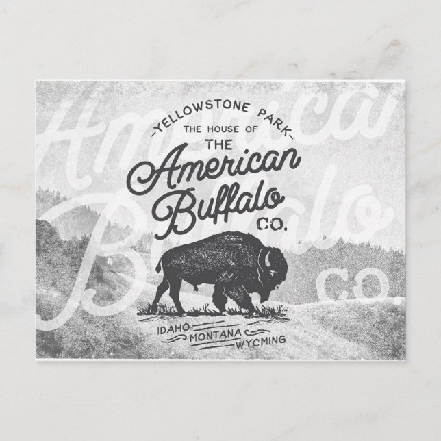 Postal Viaje de Búfalo Americano Vintage (Anverso)