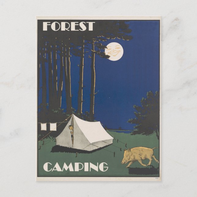 Postal Viaje de camping forestal de época (Anverso)