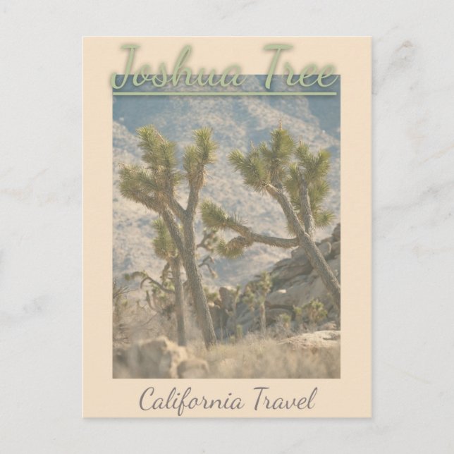 Postal Viaje de época de Joshua Tree California (Anverso)