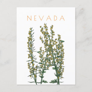 Postal Viaje de flores del estado de Nevada a mediados de