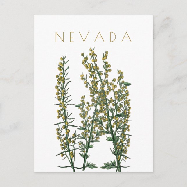 Postal Viaje de flores del estado de Nevada a mediados de (Anverso)
