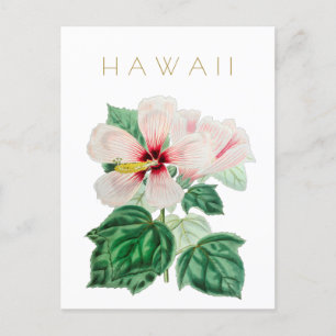 Postal Viaje de flores del estado hawaiano a mediados de 