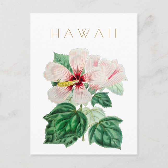 Postal Viaje de flores del estado hawaiano a mediados de  (Anverso)