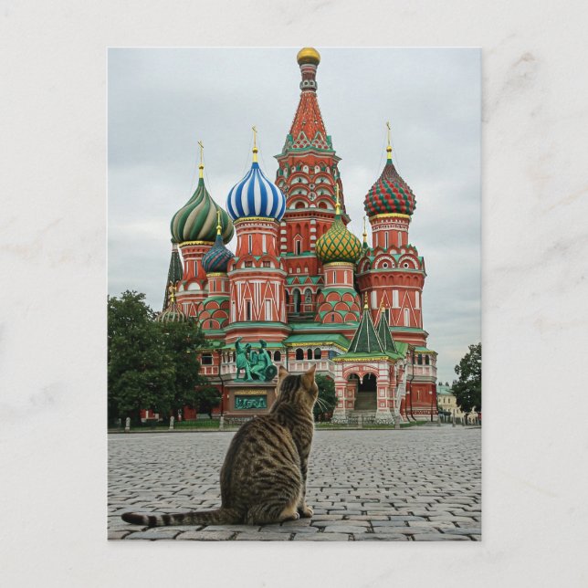 Postal Viaje de gato a Rusia en Moscú (Anverso)