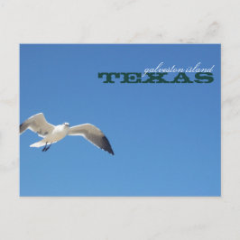 Postal Viaje de Gaviota de Texas