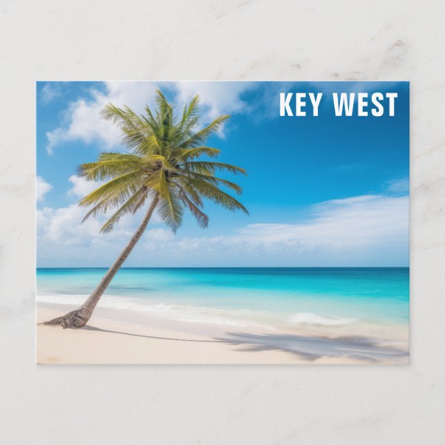 Postal Viaje de Key West Florida Beach Ocean Palm Tree (Anverso)