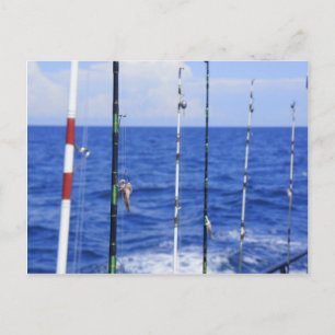 Postal Viaje de pesca