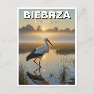 Postal Viaje de Stork en el Parque Nacional de Biebrza Po