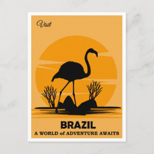 Postal Viaje de Vintage a Brasil Flamingo